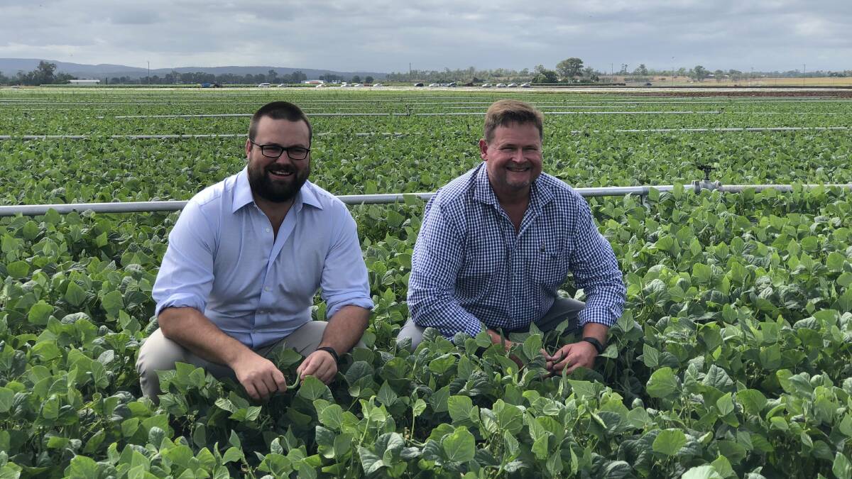 CROP TALK: Hort Innovation Vegetable Fund manager, Tim Archibald with Qld vegetable grower, co-owner and agriculture director of Kalfresh, Robert Hinrichsen, discussing the new funding.