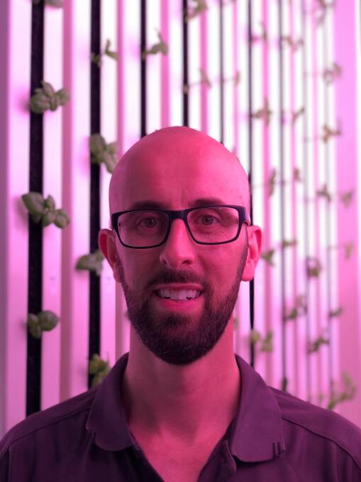 GOOD GLOW: Modular Farms Co director, James Pateras, says vertical farming reduces food miles, cuts back on waste and increases food security. 