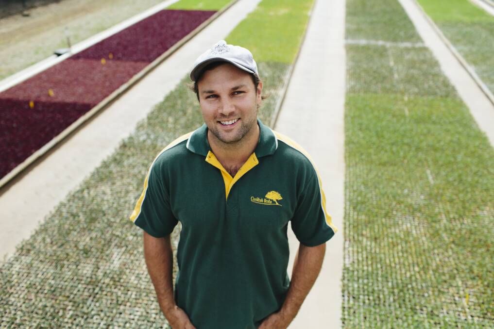 LEARNING: Coolibah Herbs nursery manager, Hayden Bogicevic, says he learnt plenty from watching his dad work on the farm. 