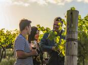 EXPERIENCE: Hope Estate founders Michael and Karen Hope and son, Sam, in their Hunter Valley vineyards at Pokolbin. 