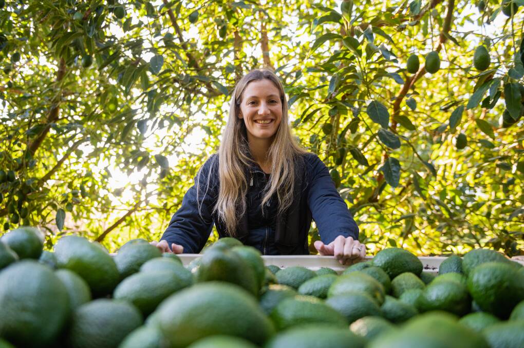 Delroy Orchards farm manager Suzie Delroy says after last year's bumper crop, this season will be a smaller season. Picture supplied