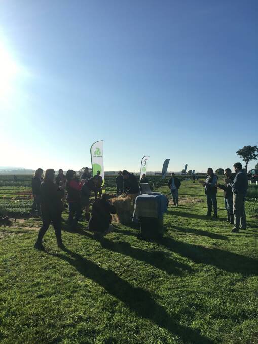 UNDERWAY: Guests gather at the East Gippsland Innovation Field Days at Lindenow, Victoria for the official opening. 