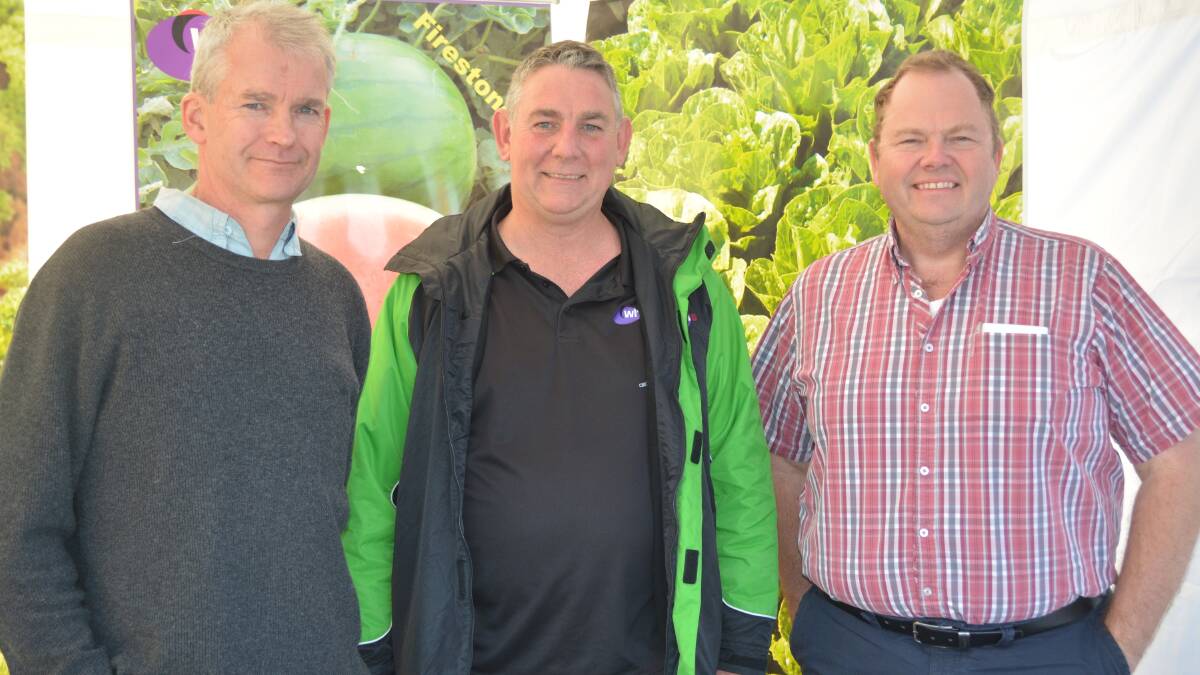 HELPING HAND: Australis Seed Company area territory manager Gerry Boontjes, director Jan Westra and farm manager and breeder Dr Larry Knerr at the expo.