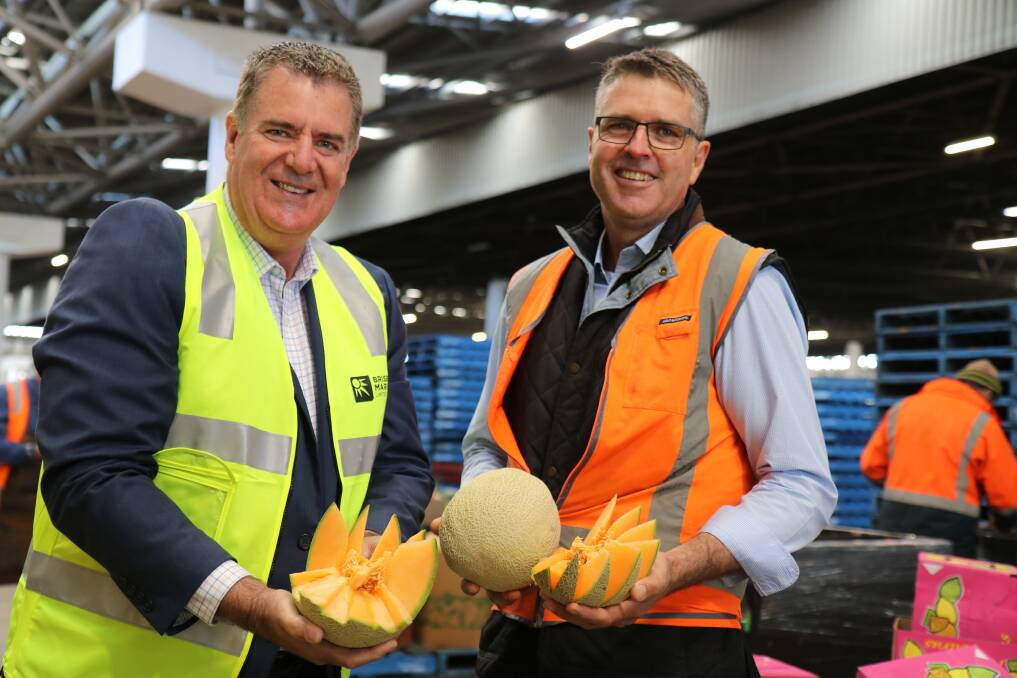 MELON TIME: Qld Agriculture minister, Mark Furner and Australian Melon Association chairman, Mark Daunt, launch the Qld melon season at the Brisbane Markets. Photo: Vanessa Kennedy