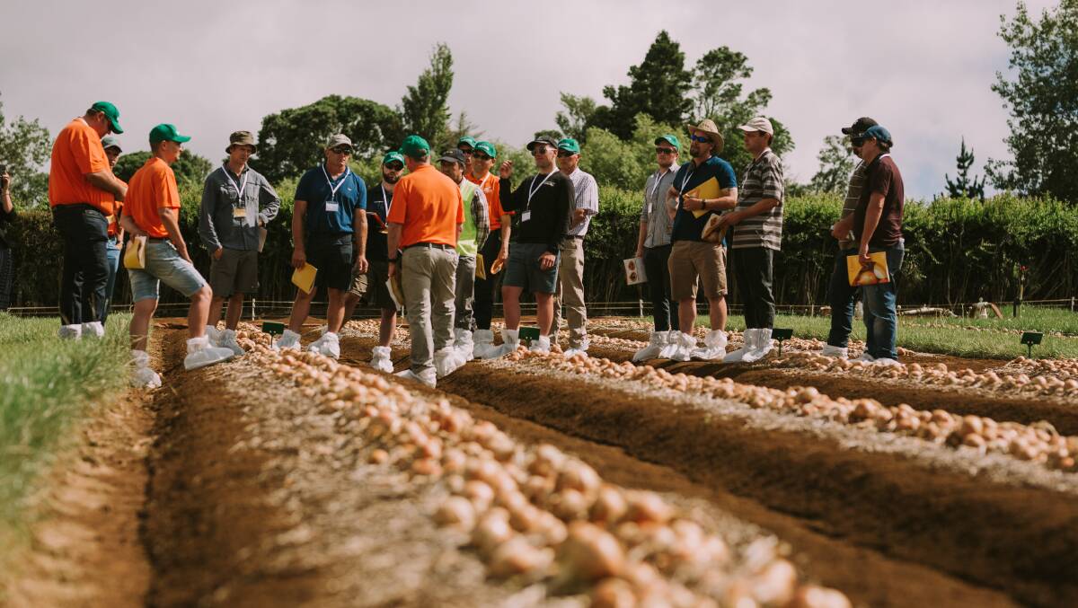 IN FIELD: Part of the opening of the Seminis Onion Breeding Station at Pukekohe, New Zealand, last month included a farm walk to see varietal trials. 
