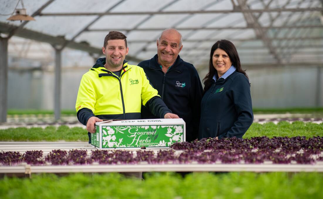 WAITING: James Vassallo, Marcy Vassallo and Jane Vassallo from Gourmet Herbs, Glossodia, NSW, are finalists for the Produce Grower of the Year as part of the 2021 Sydney Markets' Fresh Awards. 