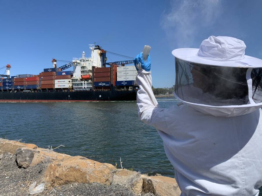 PROTECTION: Twenty sentinel hives have been set up at four Victorian ports - Melbourne, Geelong, Hastings and Portland - in efforts to stop exotic pests and disease.