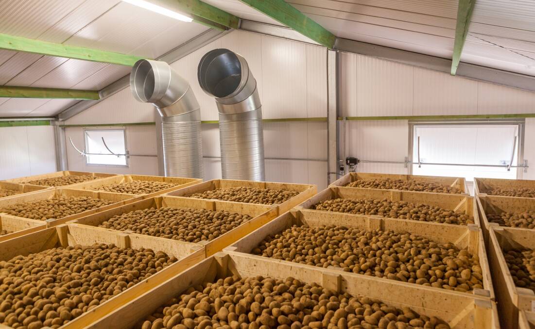 BALANCE: If the temperature difference is minimised between the cooling air and the potatoes then less moisture is removed from the potato, which reduces the stress on the potato and as a result, increasing profits.