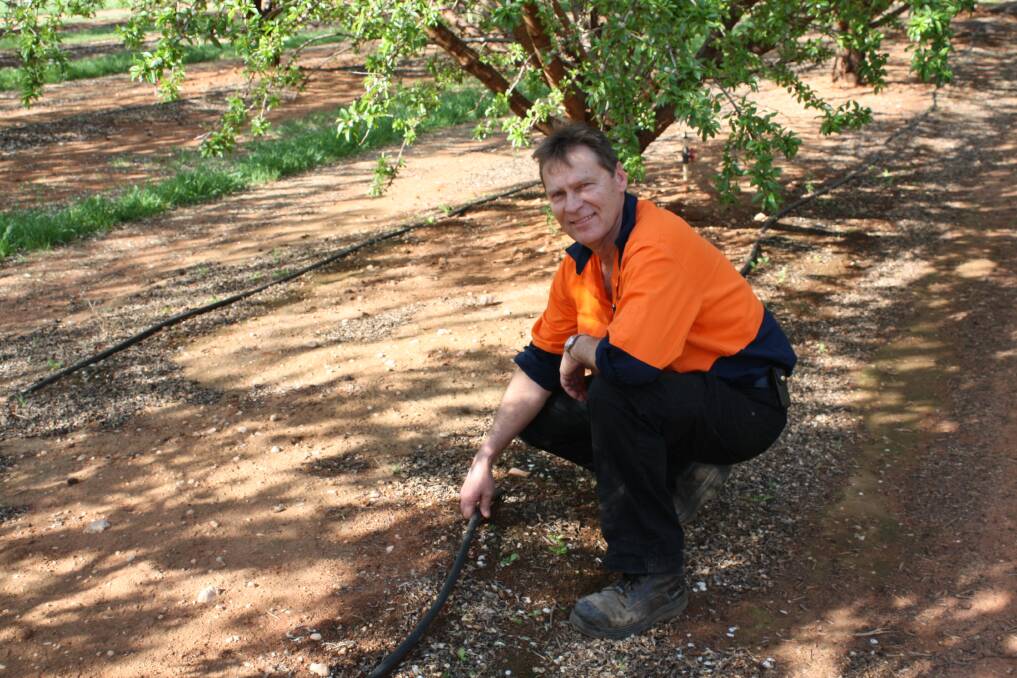 Mildura almond grower Neale Bennett says fertigation of his orchard has moved to applications of smaller amounts more often – a spoon-feeding approach.