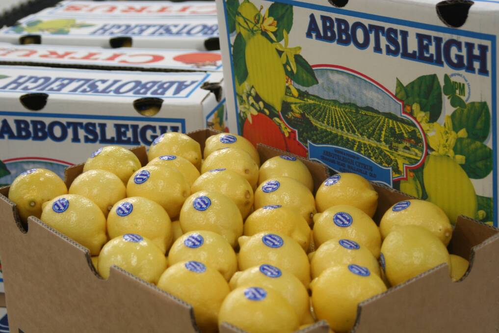 QUALITY: Abbotsleigh lemons have garnered a high reputation both nationally and internationally. 