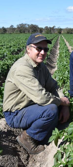 KICK IN: Mark Fritz says his fertiliser application rates can sometimes change depending on plant densities with a lot of bulking up occurring later in the crop.