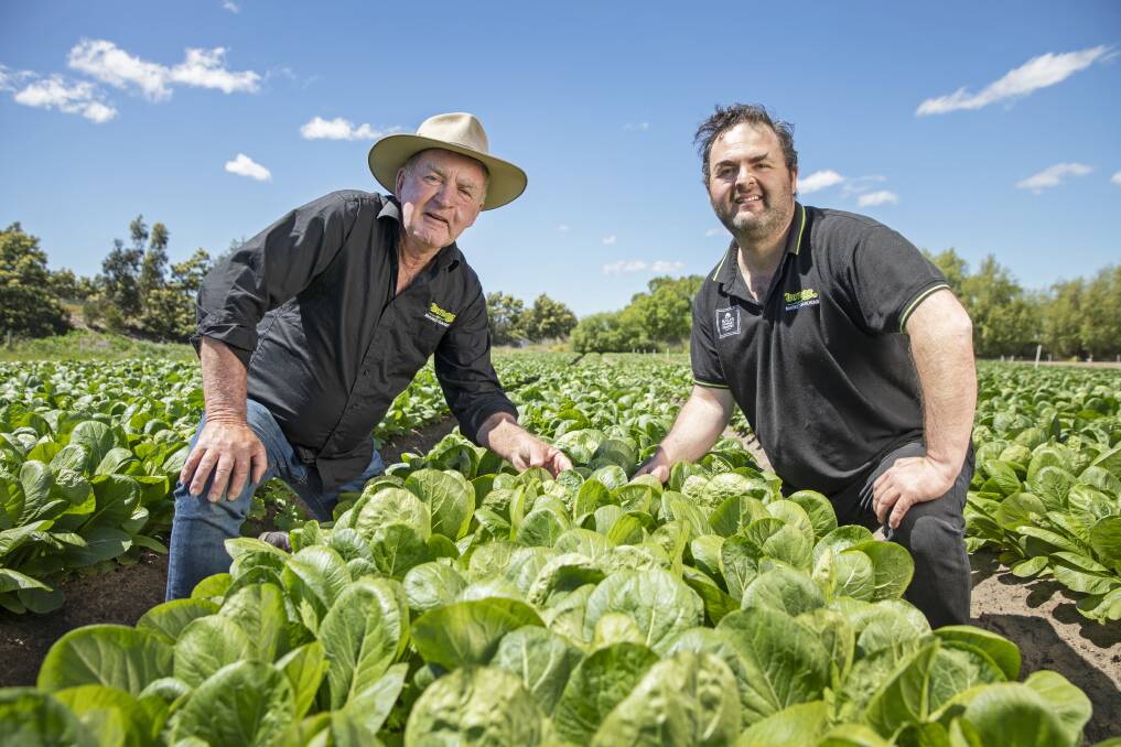 IMPROVING: Peter and Rick Butler, Butler Market Gardens, Vic will use their Woolworths Organic Growth Fund to double organic production and increase water efficiency through irrigation upgrades and expansion.