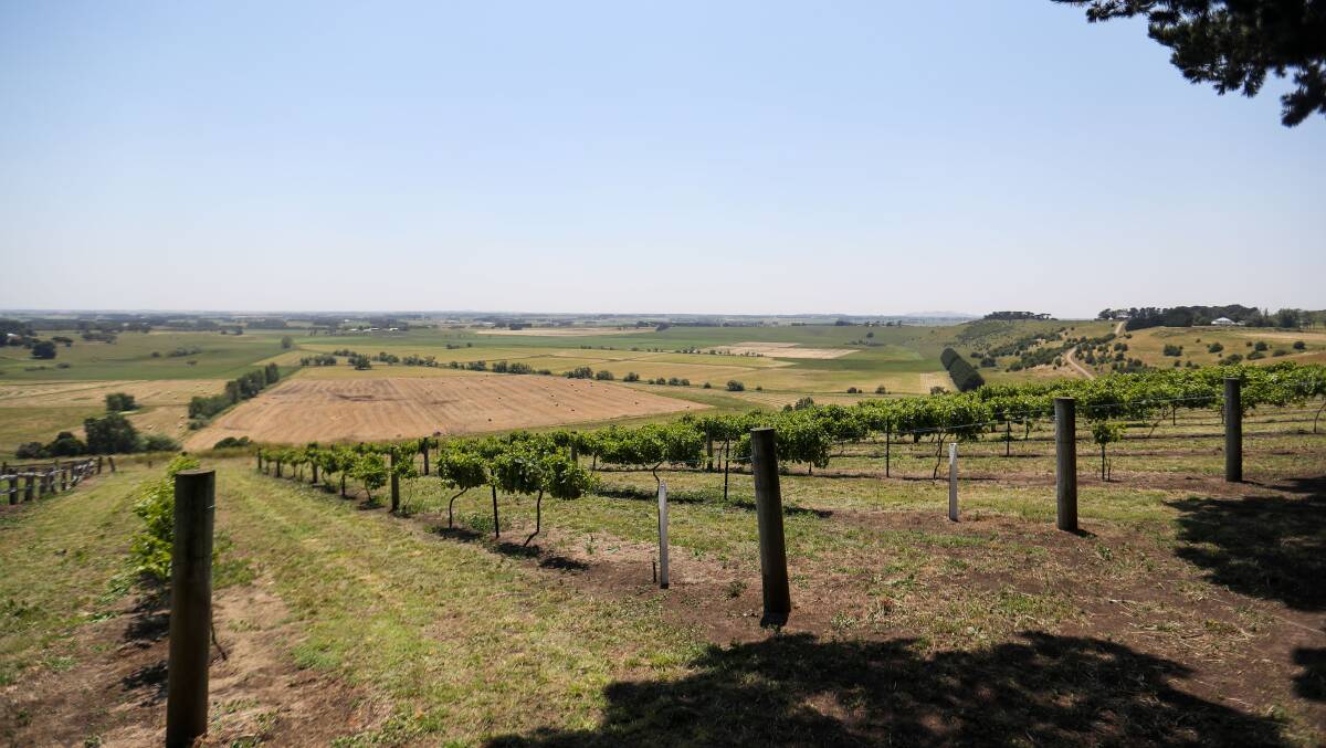 OUTLOOK: This will be the view from the new cellar door and function room. Photo: Morgan Hancock