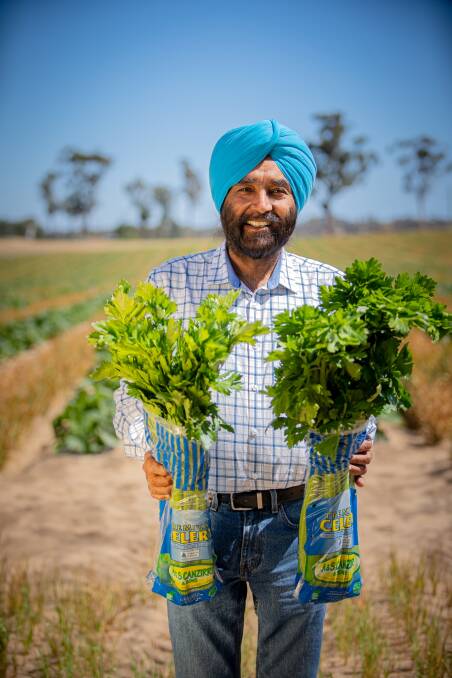 FUTURE: Professor Zora Singh says the teaching and research to be undertaken at ECU is working toward improving horticulture production, sustainability, market access and profitability of the industry
