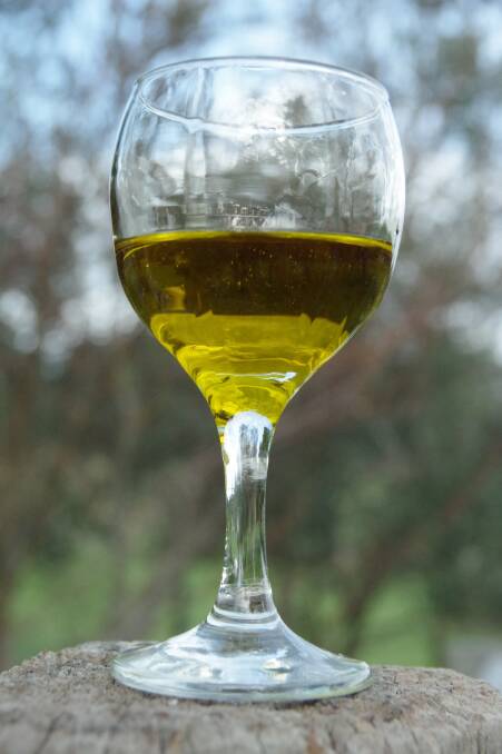 Paddock to plate a long-held olive oil dream