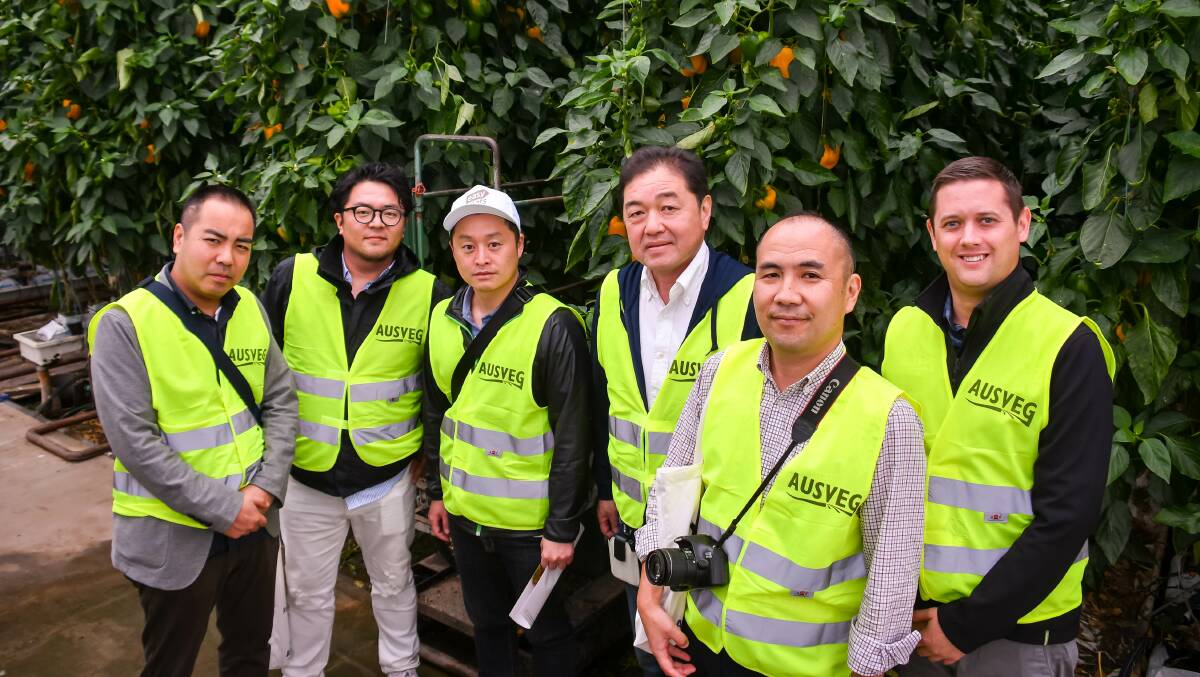 GROWING: Japanese buyers and processors with Ausveg national manager export development, Michael Coote. Picture: Simon Sturzaker