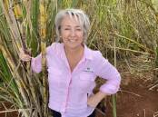 SUPPORTIVE: Former Canegrowers Isis manager Angela Williams has taken up a role as the member support officer for the Australian Macadamia Society (AMS), to be based in Bundaberg. 