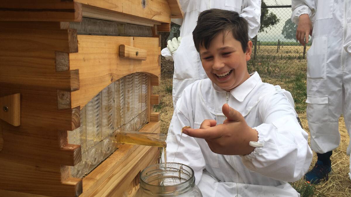 SWEET RESULT: Faith Lutheran College student Tom Blenkiron gathering honey from an automatic honey hive that students helped to construct.