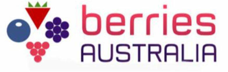 NEW: The new Berries Australia Ltd logo. 