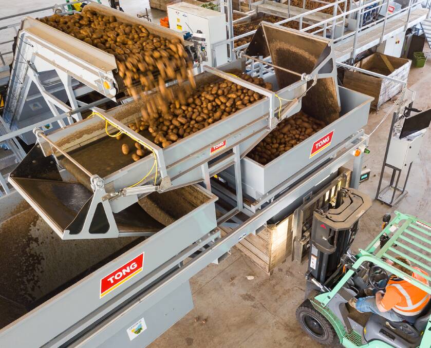FILLING: Manufactured to gently and evenly fill one or two ton boxes, the new filler from Tong is maximising throughput capacity for Cherry Hill Coolstores, based in northern Tasmania. 