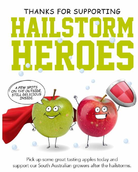 HEROIC: Some of the promotional material from the Hailstorm Heroes campaign this year. 