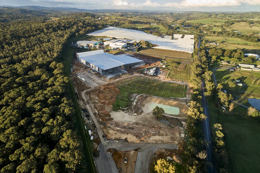 PROGRESS: Fruit business, Montague, is in the process of building a new 53,200m2 fruit processing facility at Narre Warren North, Victoria. 