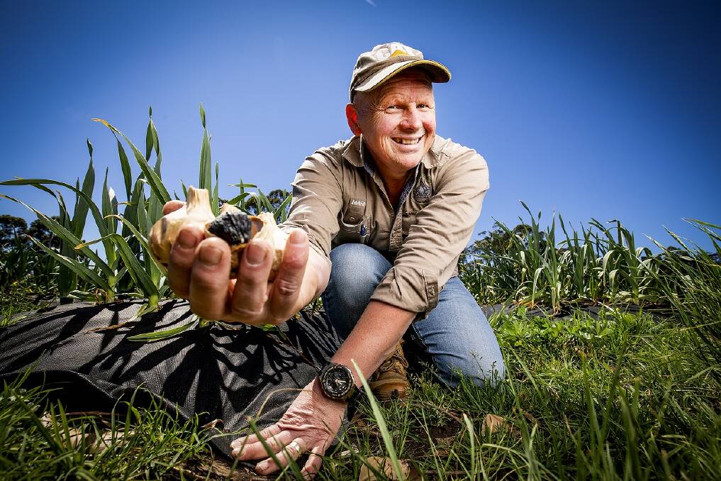 READY: Snowy River Black Garlic owner, Mark Johnstone, showing off some of the product. 