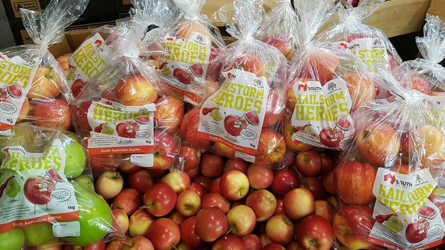 STILL GOOD: Hail-damaged apples are on sale at South Australian supermarkets following the revitalisation of the Hailstorm Heroes brand this year. 