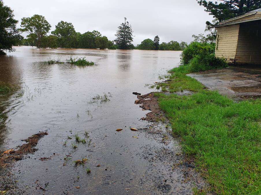 HIGH: Water at its 15m peak of the flood at Woodlawn, northern NSW. According to Australian Pecan Association president Scott Clark, this is 2.7m higher than 1974 which was the previous biggest flood. 