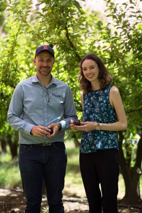 FUTURE: Nutrafruit chief executive officer, Luke Couch, and food scientist and nutritionist Hannah Naismith.