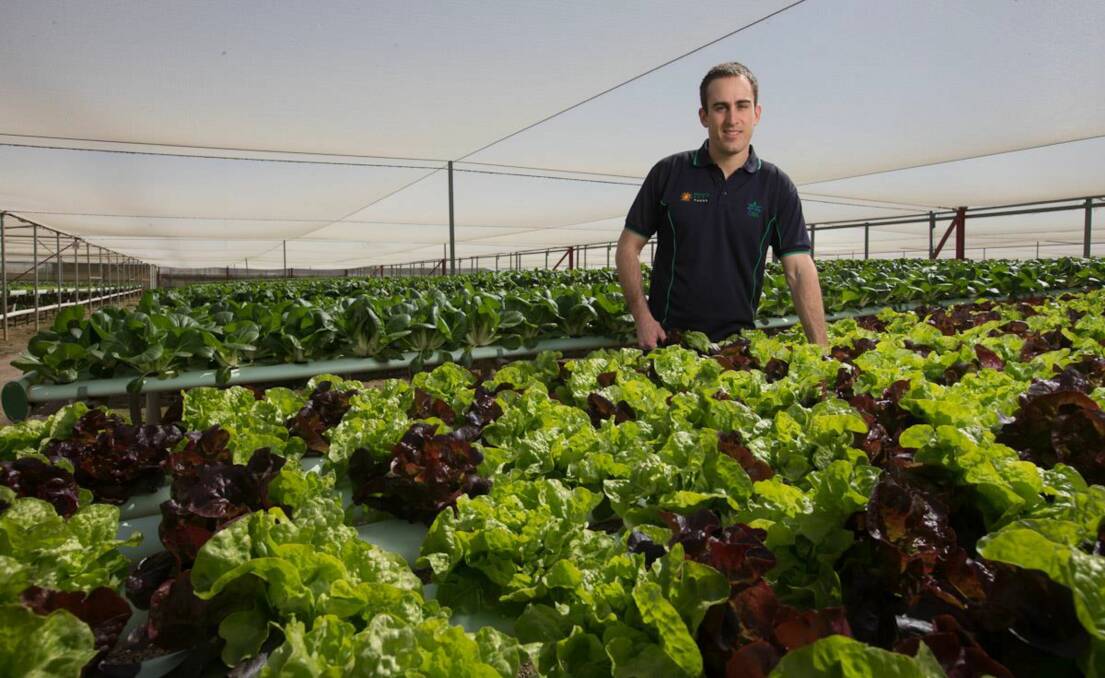 BIG OPP: 2016 Nuffield Scholar Michael Vorrasi, DSA Fresh, SA, says there is a substantial opportunity for vegetable growers to value add to their products in order to capture more of the Australian market. 