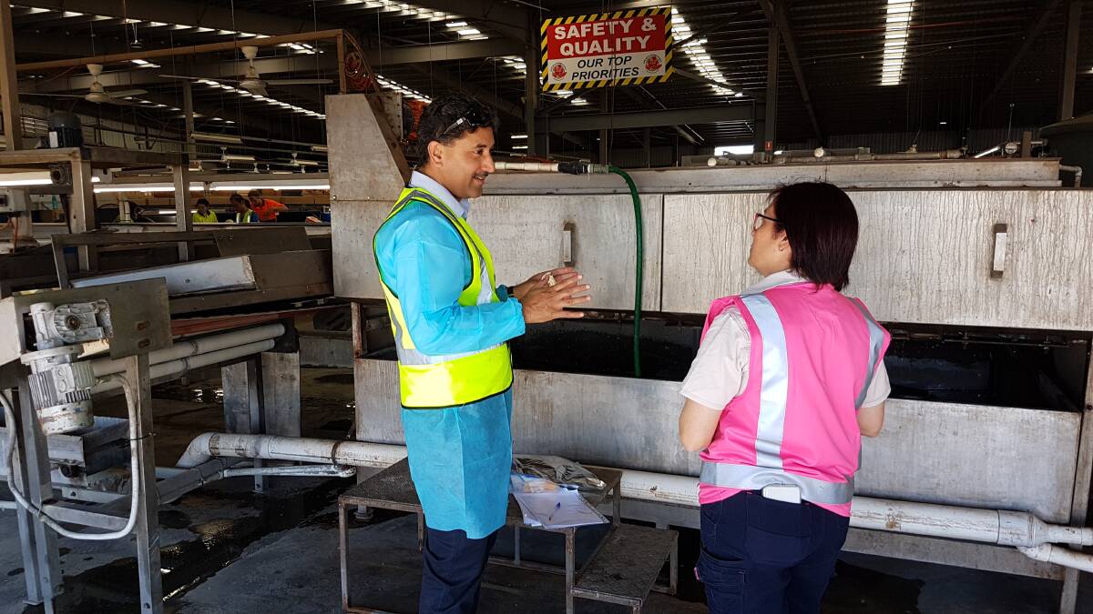 TRAINING: NSW DPI’s Dr SP Singh training a QA manager in a north Qld packing house as part of the initiative.

