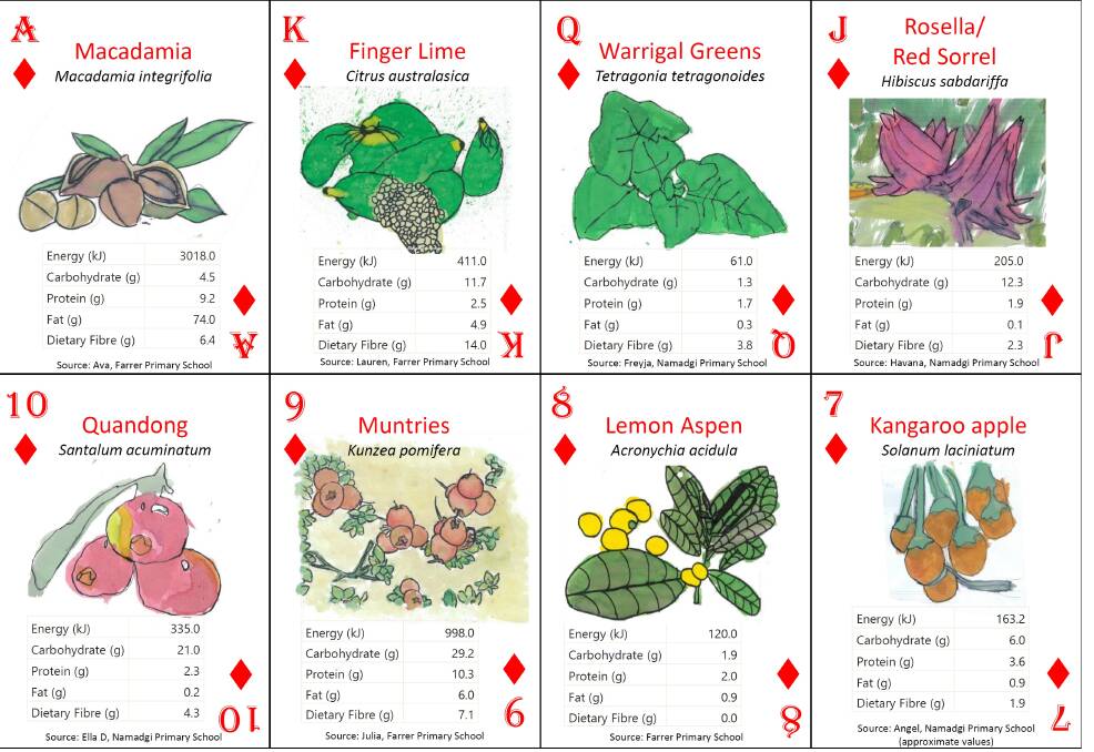 SET: an example of the playing cards featuring native Australian foods and their nutritional values. 