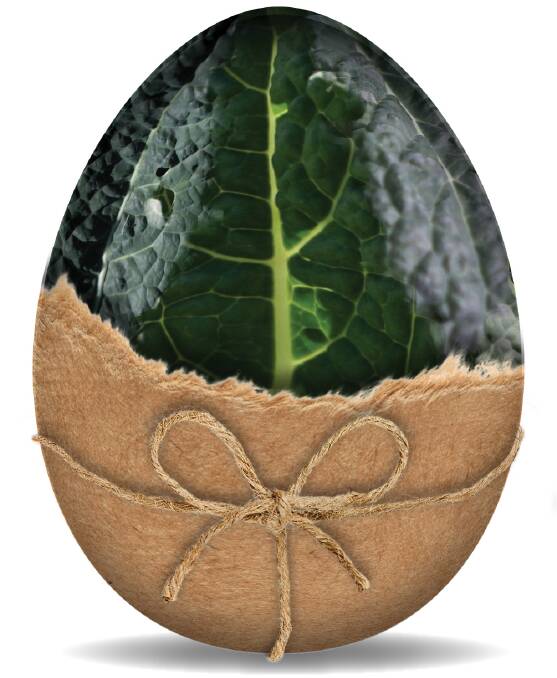 EAT UP: The scenario that could confront chocolate consumers everywhere if the Easter Bunny went all hipster - a kale Easter egg in natural fibres.