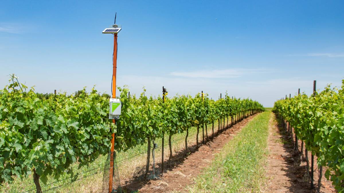 BETTER: SupPlant monitors plant moisture content, providing an information flow for farmers to be able to optimise their crop production. 