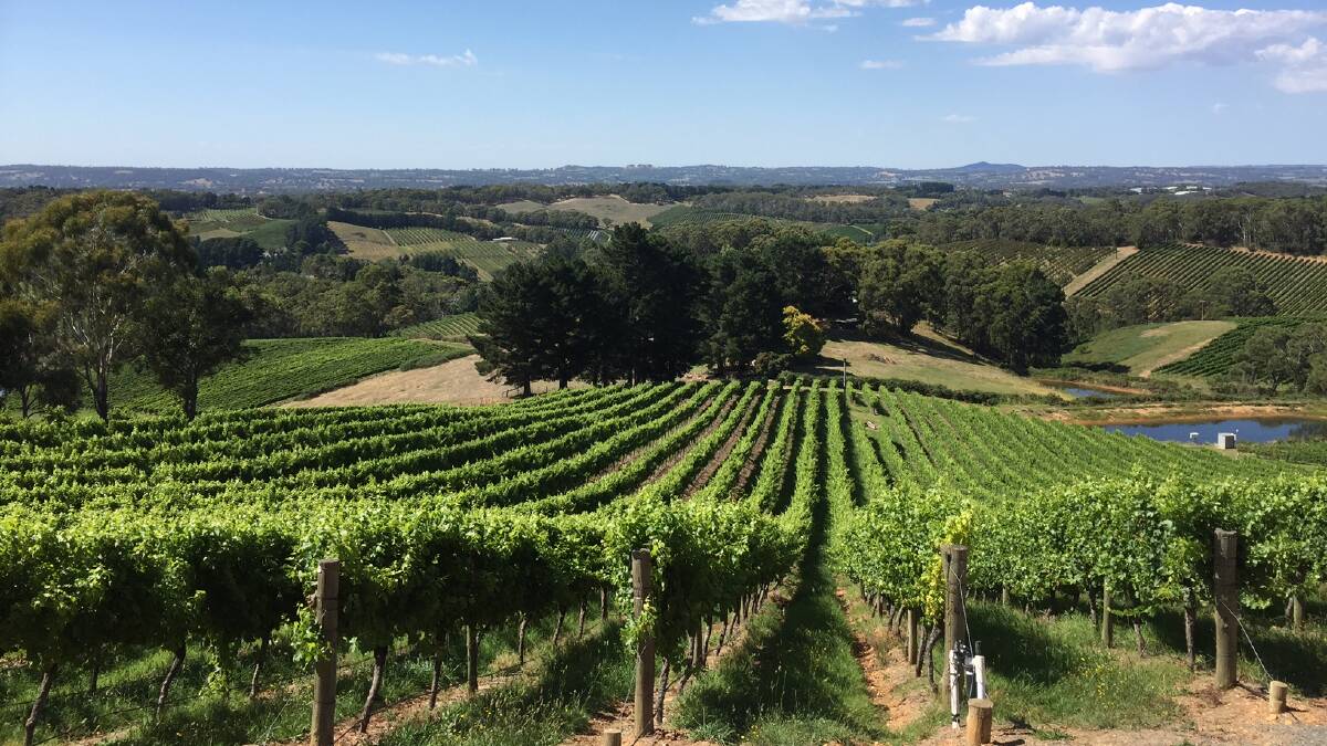 VYING: Some of the nation's top vineyards are in contention to be named Vineyard of the Year. 