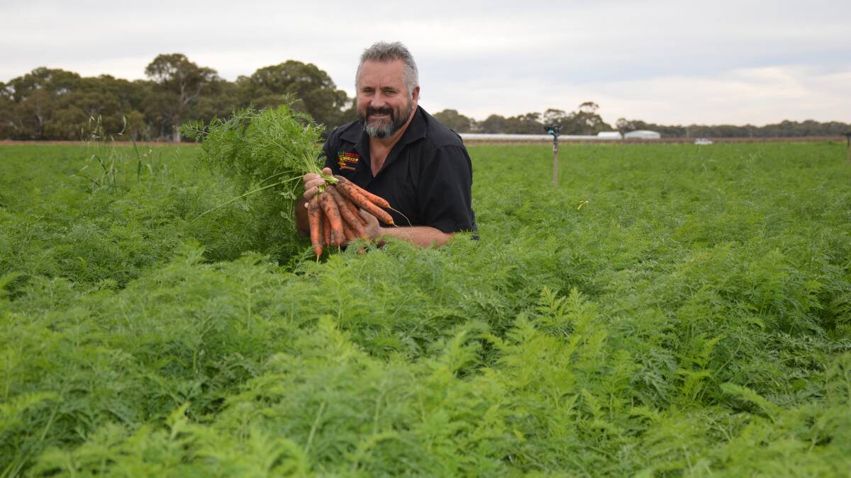 YEAR ROUND: SA Grower of the Year Doug Nicol says the beauty of the Northern Adelaide Plains is that can farmers can grow vegetables 12 months a year.