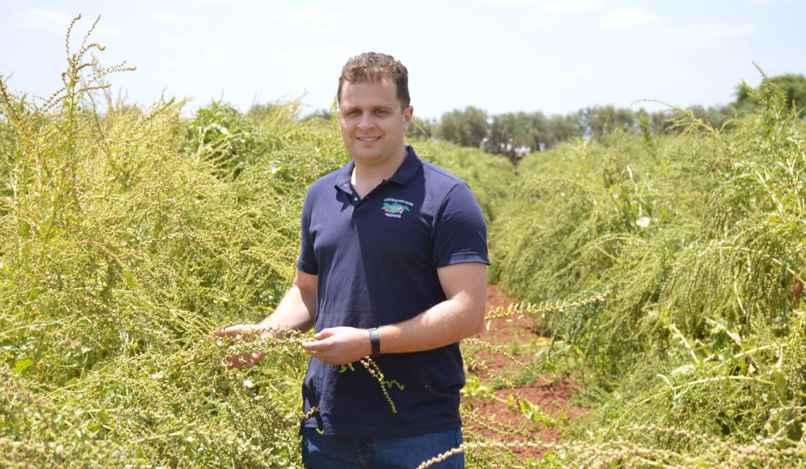 CAREER: SA bunchline grower Anthony de Ieso, pictured in some spinach ready to be harvested for seed, was among those who shared his industry insight in the Horticulture career videos.