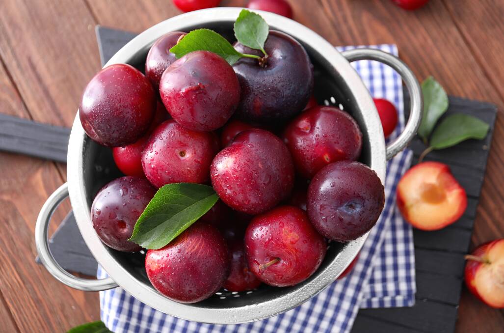 SUFFERED: Stonefruits, including plums, suffered this year from lack of labour during harvest time. Picture: Shutterstock.