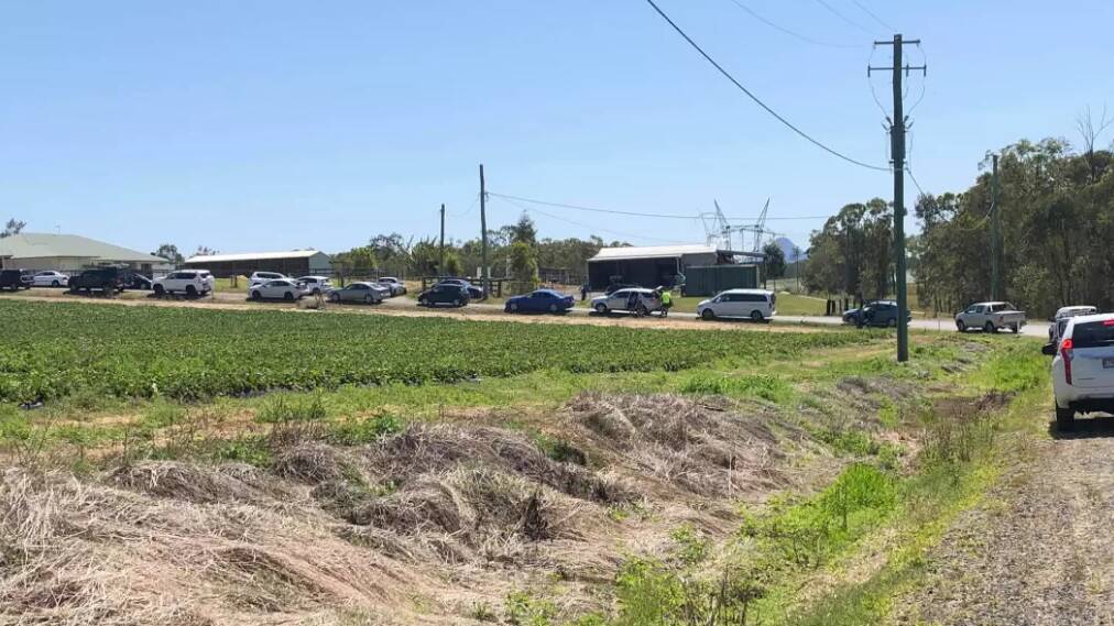 LINE UP: Cars queue at a Wamuran strawberry farm for two hours on Wednesday. Photo: Faith Jennings - Facebook