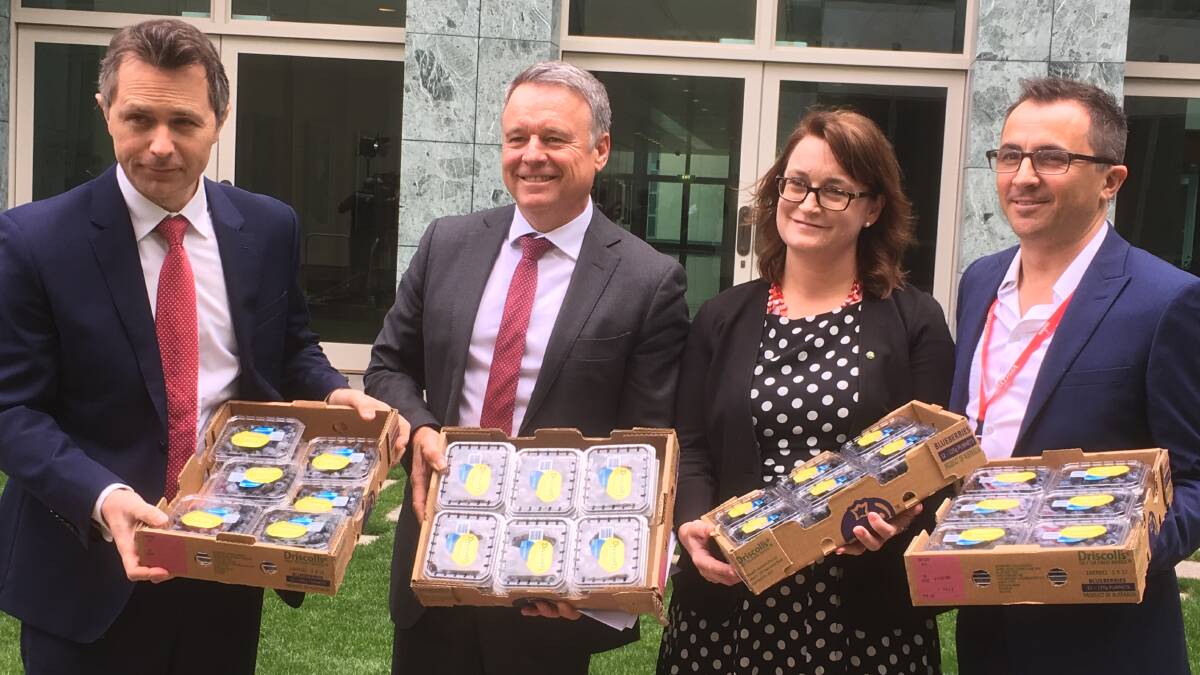 ACTION NEEDED: Shadow Ministers Jason Clare, Joel Fitzgibbon and Justine Keay with Costa Group's David Jordan at Parliament House. 