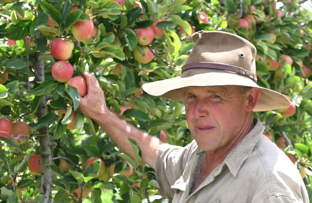 Ian Pearce, Orange, NSW believes growers are taking all the risk with very little reward. Picture by Denis Howard