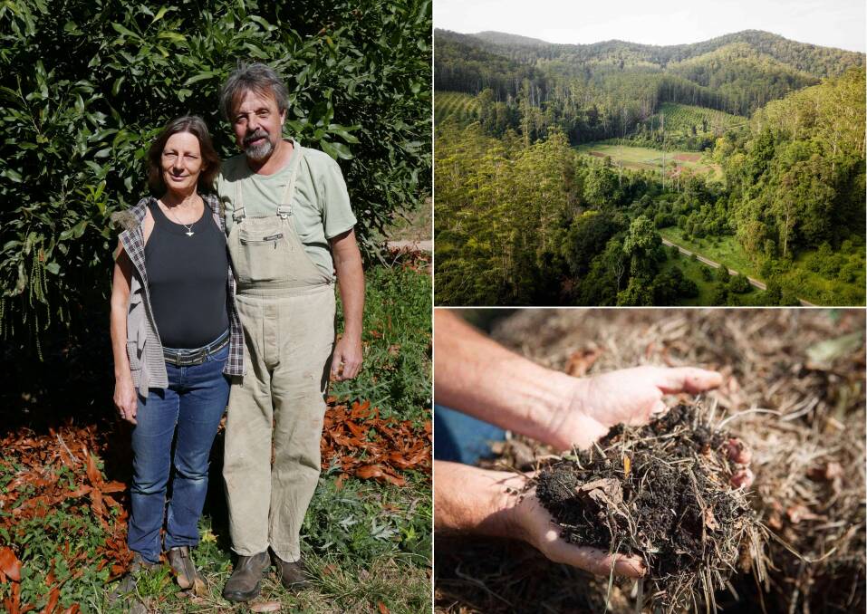 CONSCIENTIOUS: Janne and David Flinter have developed Hand 'n' Hoe Macadamias using permaculture and sustainable practices.