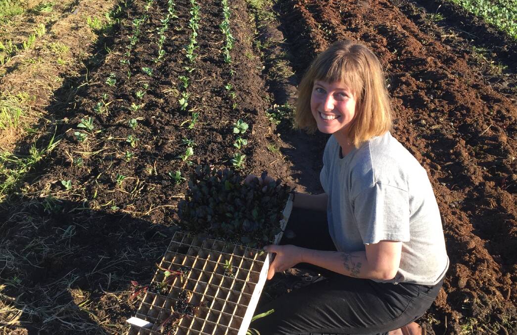 SOWING: Chloe Fox holds a tray of pumpkin seedlings at Somerset Heritage Produce, Seymour, Victoria. 