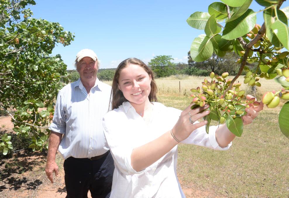 HAPPY: Richard Barton and his daughter Lucy inspect some pistachios on their Elong Elong property. Photo: Rachael Webb.