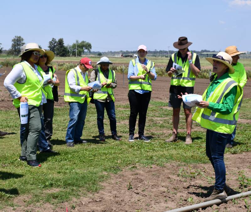 PRACTICAL: Chris Fyfe presented on cover crops for weed management during the farm walk at the Greater Sydney Local Land Services Demonstration Farm.