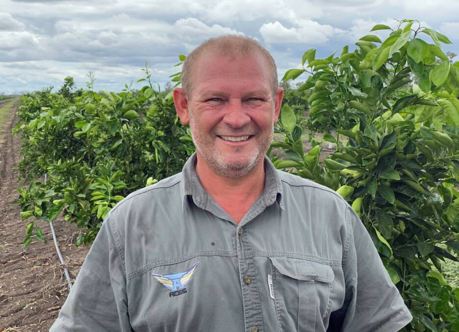 Citrus farmer Cor Greyling has seen the effects of EndoPrime® for himself as he takes note of the difference between the treated and untreated trees on his property.