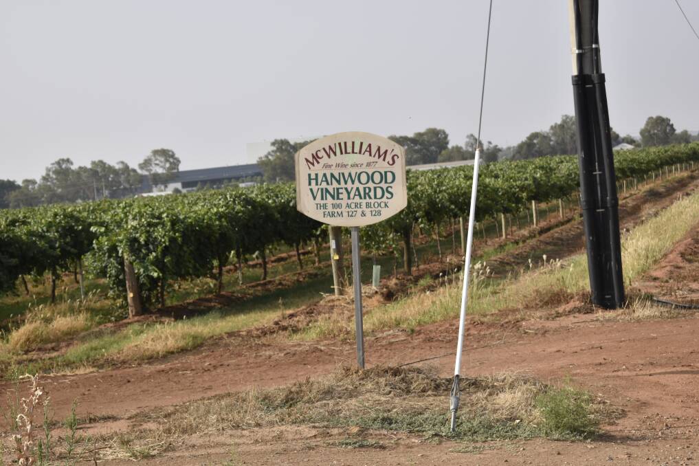 STILL LOCALLY OWNED: McWilliam's Wines famous Hanwood winery and vineyard have been bought by the local Calabria family. 