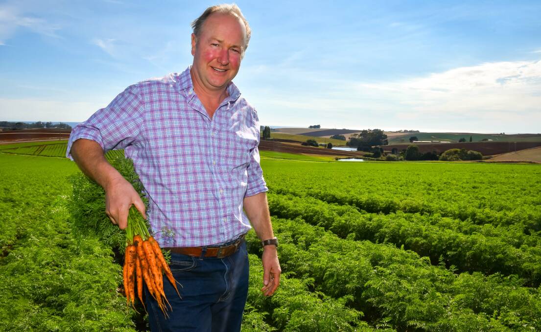 Carrot King: Harvest Moon agricultural director, Mark Kable, plucks carrots from the red dirt at Forth, Tasmania. Picture: Simon Sturzaker.