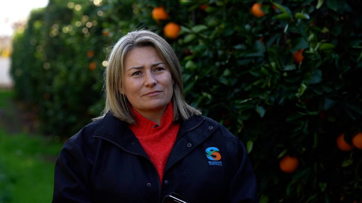 UNFAIR: Riverina orange grower Johanna Brighenti-Barnard, Sumar Produce, is against the idea of a minimum wage floor for horticultural workers "Where's the incentive for the fastest pickers when the slowest will likely end up earning more per kilo? How is that productive and how is that fair?"